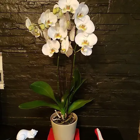 Porto Frailis * Tortolì