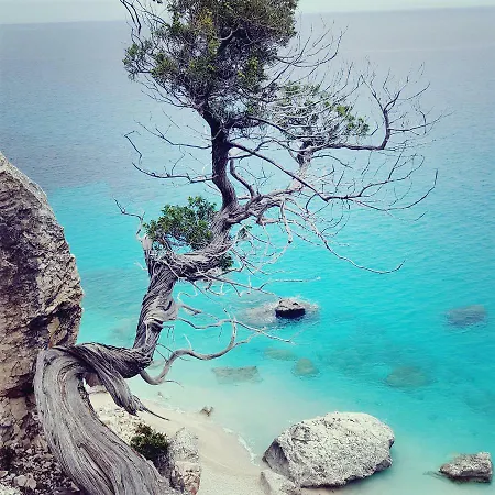 Porto Frailis *