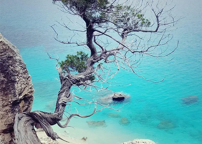 Porto Frailis *